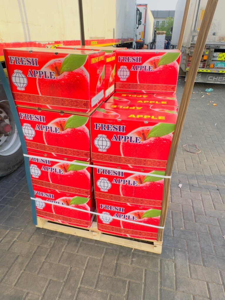 WhatsApp Image 2025-06-19 at 2.32.42 PM